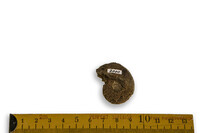 F 02000
<br/>
<br/>
<em></em>